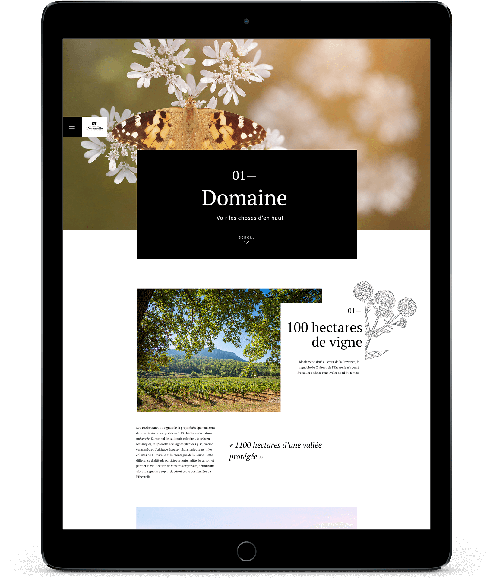 Une tablette affiche un site web d'une agence marketing digitale à Nice, avec un gros plan floral, une boîte noire étiquetée "01-Domaine", suivie d'une photo de vignoble, d'un texte "100 hectares de vigne" et d'illustrations botaniques.