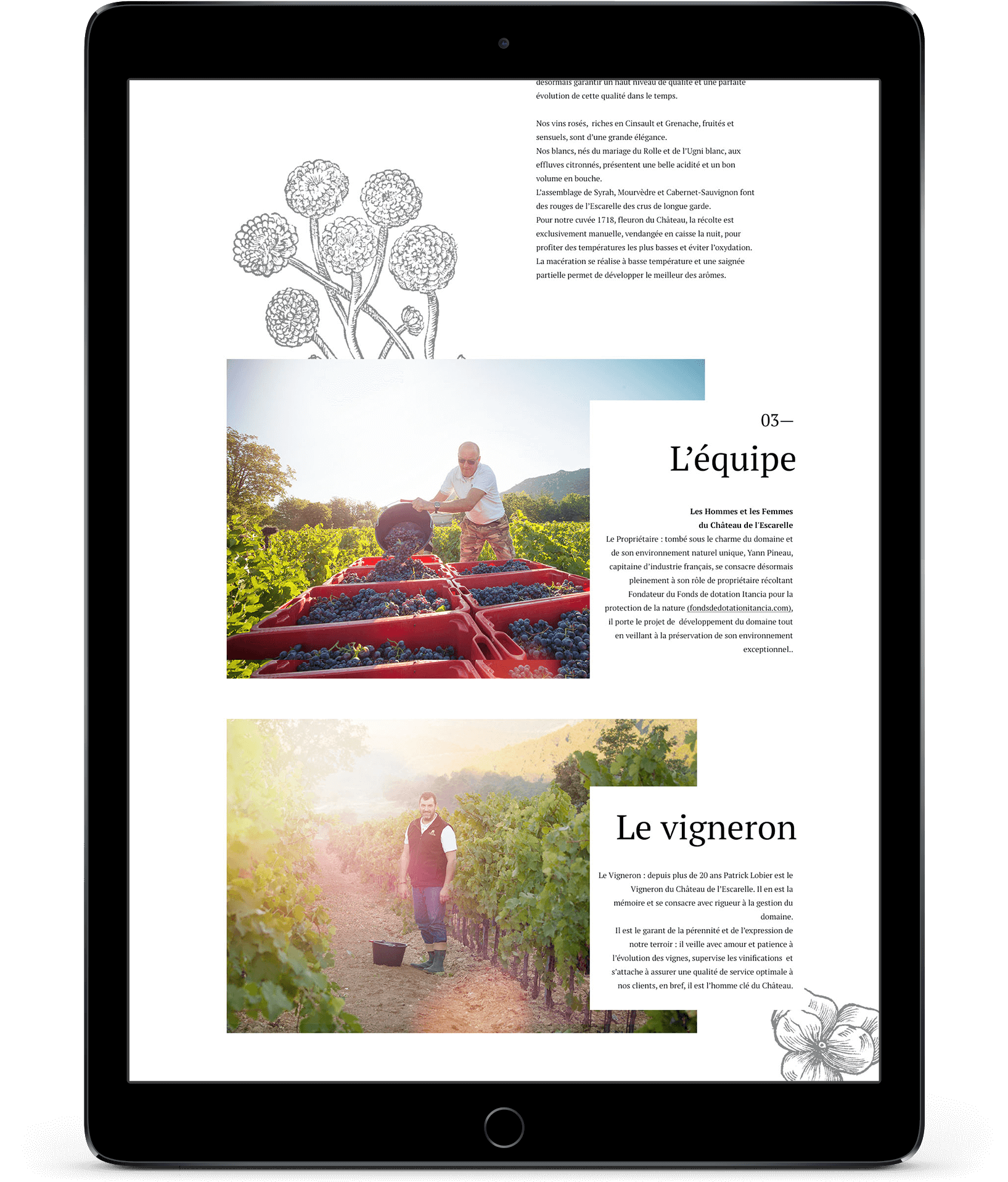 Une tablette affiche une page avec un texte en français, des illustrations florales décoratives et deux photos de personnes travaillant dans un vignoble - l'une récoltant du raisin et l'autre se tenant parmi les vignes avec un panier, présentées par une agence marketing digitale à Nice.