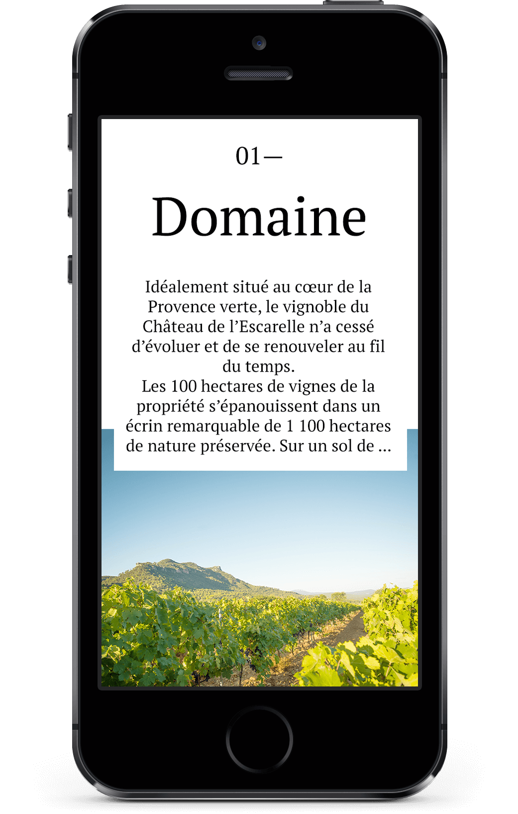 L'écran d'un smartphone affiche un texte en français sur un vignoble, surmonté du titre "Domaine" et d'une photo de vignes ensoleillées. En bas, des collines lointaines évoquent l'ambiance qu'une agence marketing digitale à Nice pourrait utiliser dans ses campagnes.