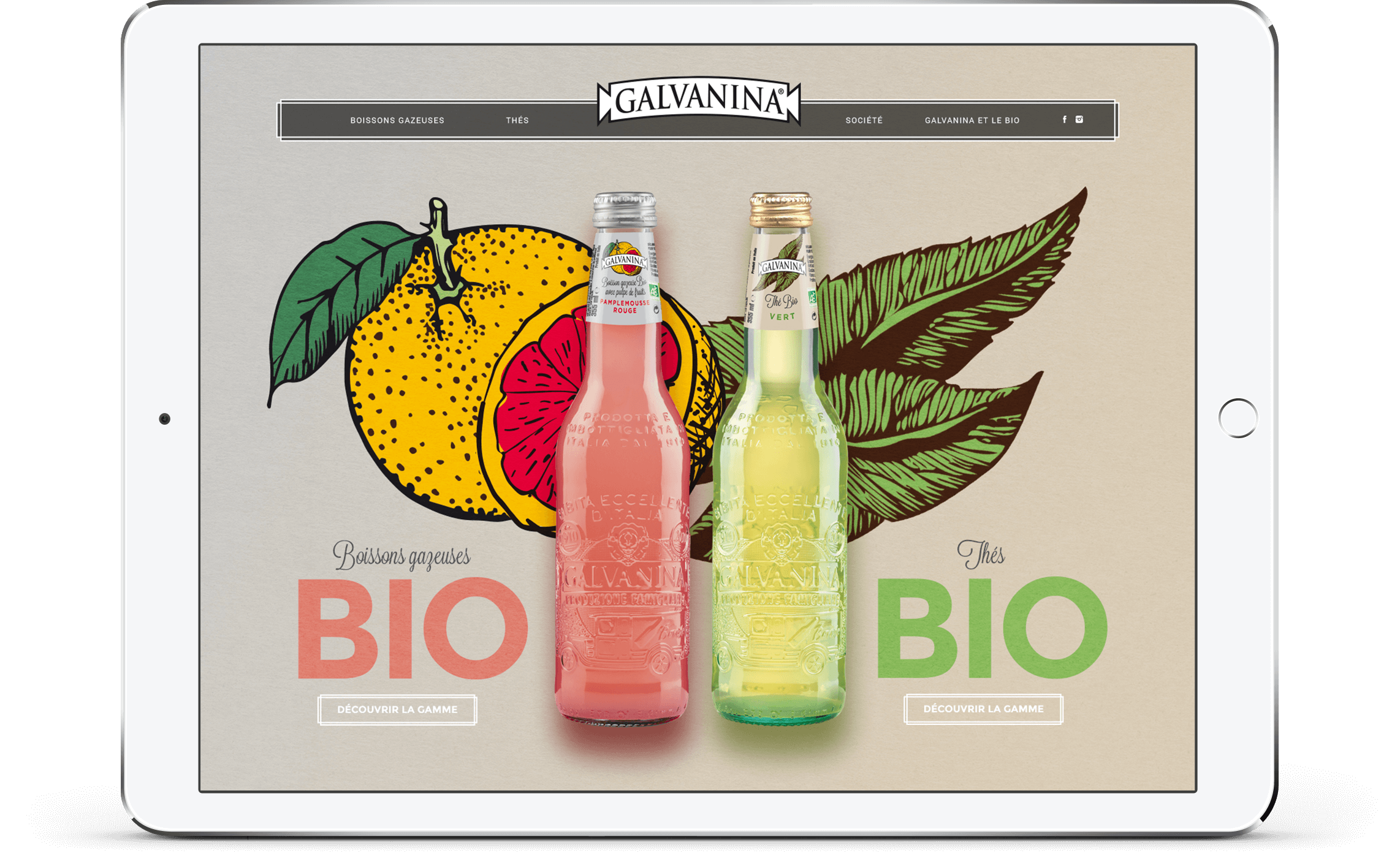 Deux bouteilles en verre de boissons biologiques Galvanina, au packaging vibrant - l'une rose et l'autre jaune - sont présentées devant des agrumes et des feuilles illustrés sur l'écran d'une tablette, avec des étiquettes "BIO" et un texte en français.