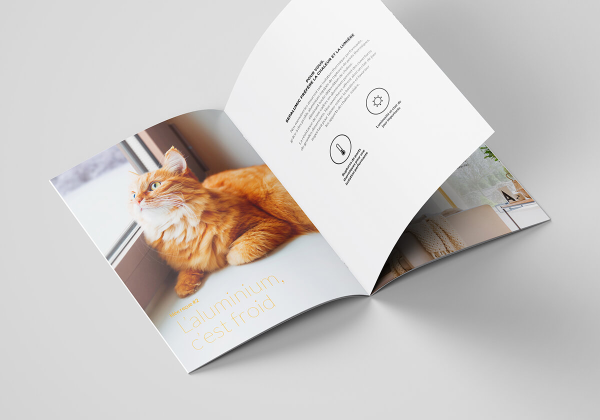 Un magazine ouvert sur une surface blanche présente, sur la page de gauche, la photo d'un chat orange duveteux assis près d'une fenêtre, tandis que la page de droite comporte un texte avec des icônes sur l'aluminium et des informations sur la communication B2B.