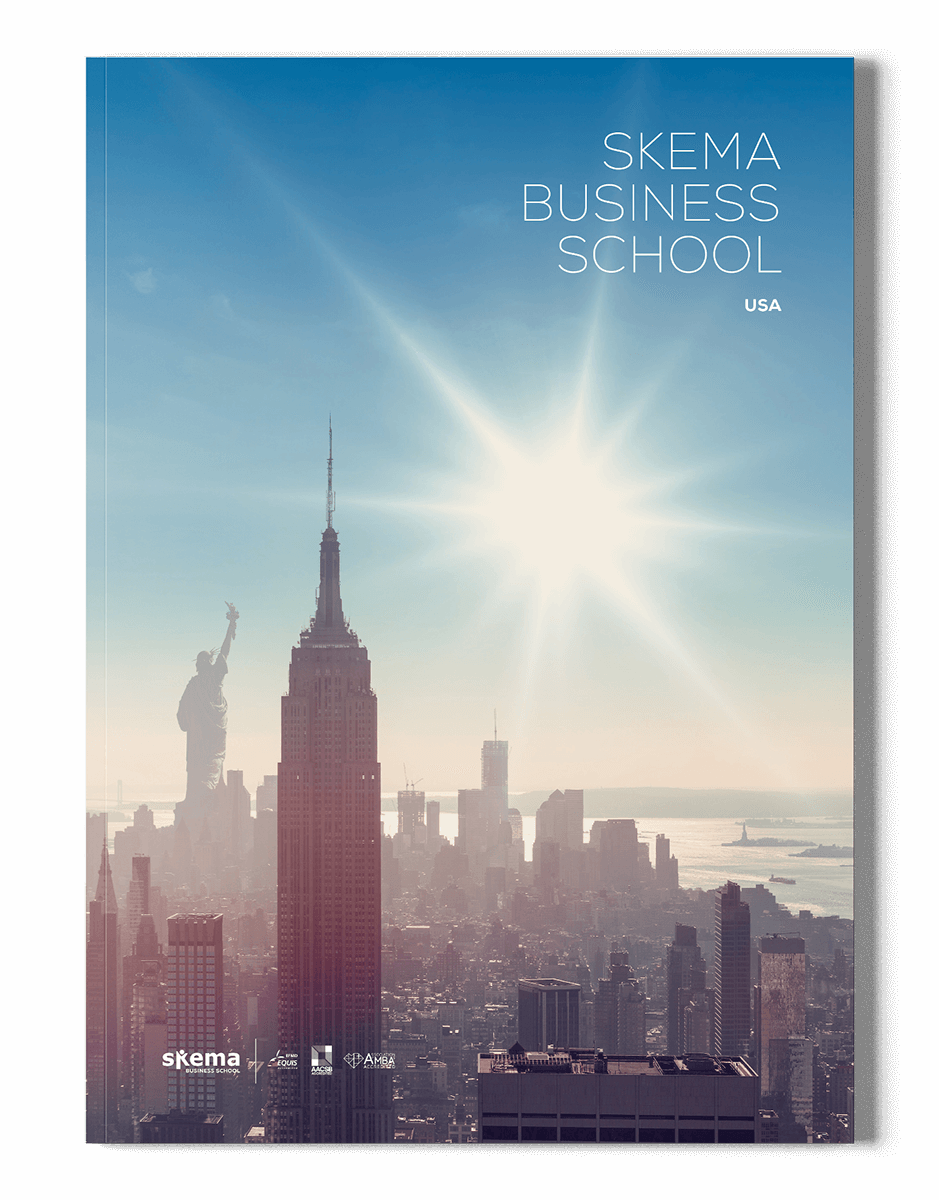 La couverture d'une brochure, ou plaquette d'entreprise, présente une vue ensoleillée de la ville de New York avec l'Empire State Building et la Statue de la Liberté. Le texte indique "SKEMA Business School USA".