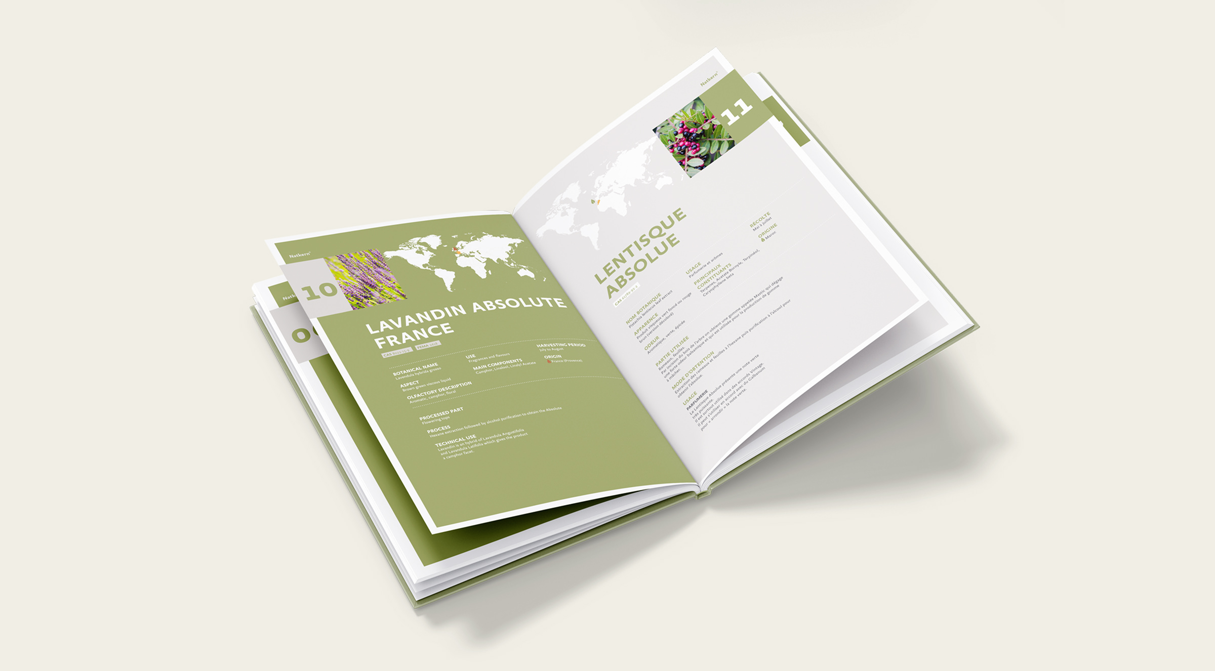 Un livre ouvert aux pages vertes et blanches présente des informations sur les huiles essentielles, mêlant conception d'identité visuelle, cartes élégantes, texte et petites photos de plantes. La page de gauche est intitulée "Lavandin Absolute France" et celle de droite "Lentisque Absolute".
