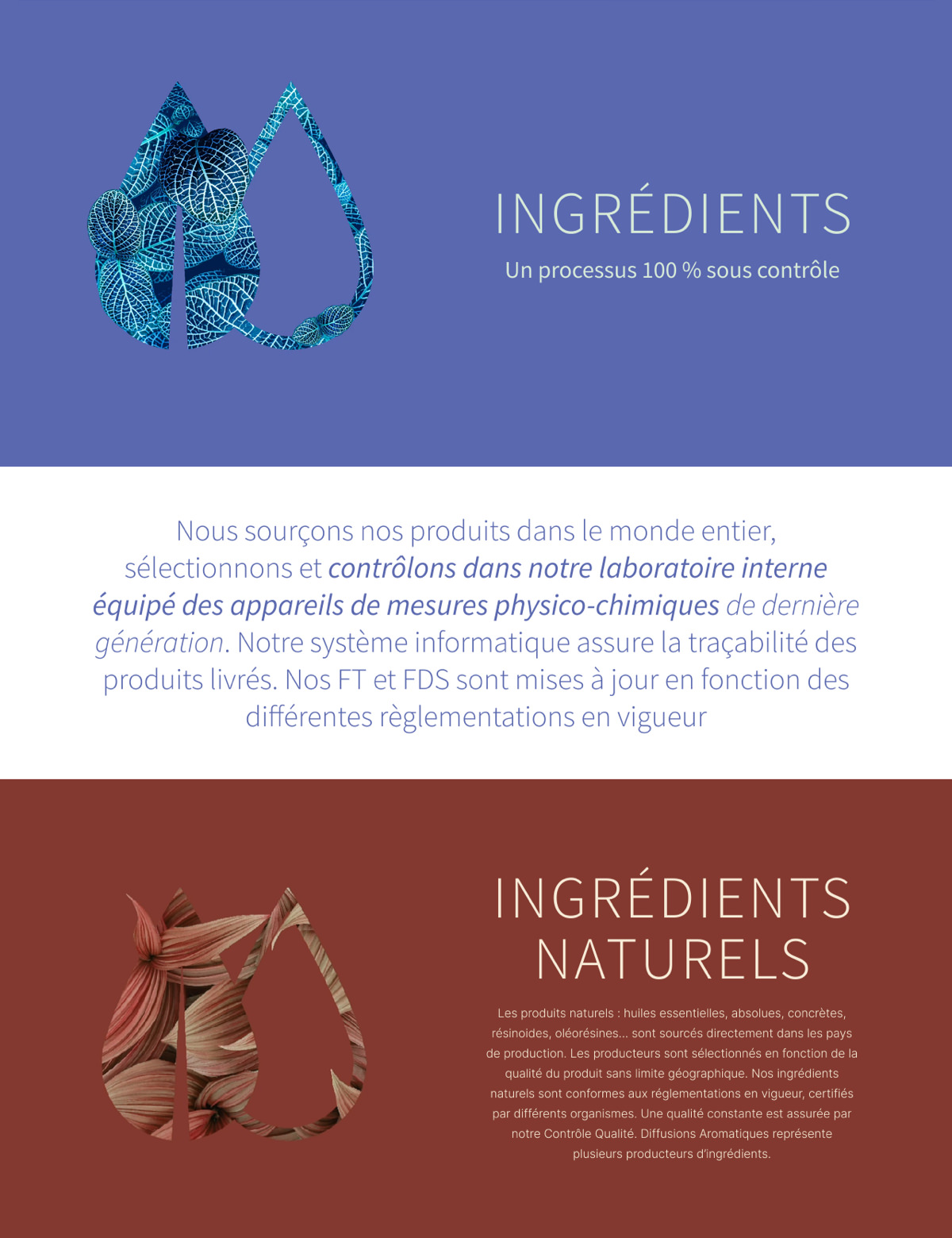 Deux sections illustrées de feuilles et de fleurs abstraites présentent la conception d'identité visuelle : la partie supérieure violette couvre les processus d'ingrédients contrôlés, tandis que la partie inférieure rougeâtre met l'accent sur l'approvisionnement et la traçabilité des ingrédients naturels pour les produits réglementés.