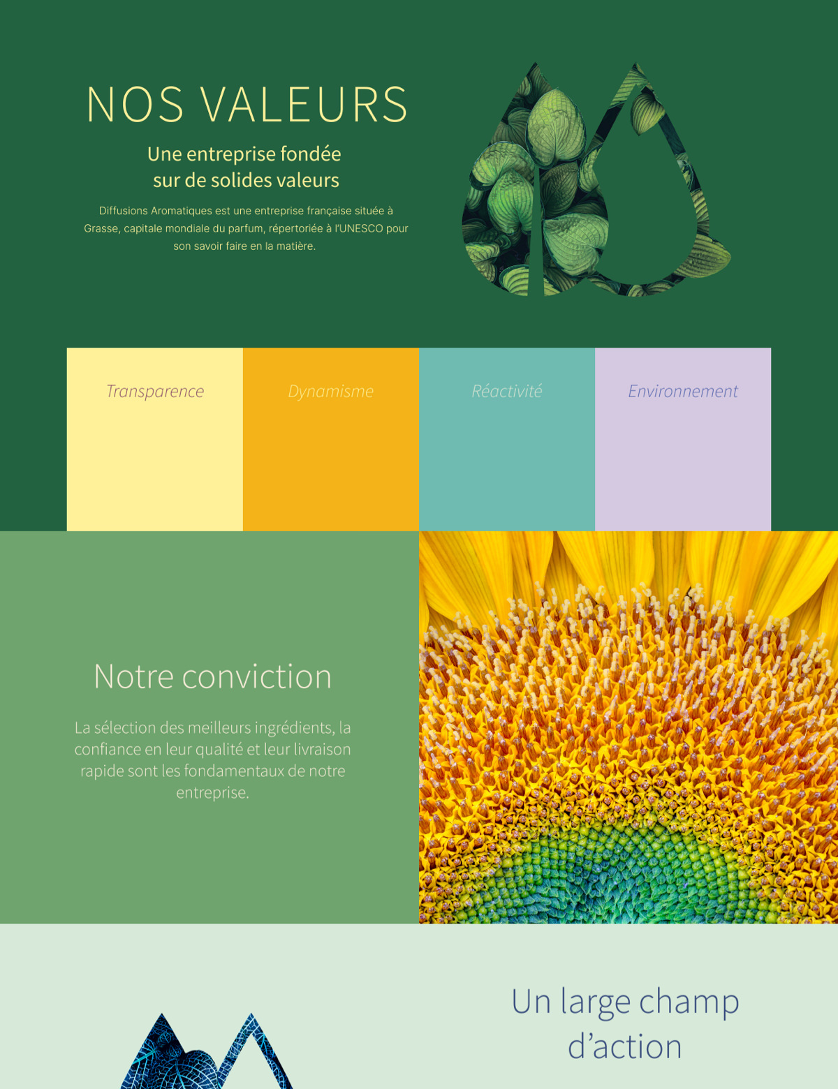 Une infographie colorée sur les valeurs de l'entreprise avec des dessins sur le thème de la nature, des blocs de couleur intitulés "Transparence, Dynamisme, Réactivité, Environnement" et un texte sur les valeurs de l'entreprise - parfait pour tout projet de conception d'identité visuelle. Le tout est surmonté d'une feuille verte.