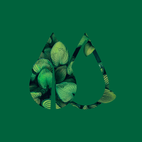 Un fond vert présentant le contour d'une goutte d'eau et d'une feuille, rempli d'un motif de feuilles vertes qui se chevauchent - parfait pour une conception d'identité visuelle axée sur la nature et la durabilité.