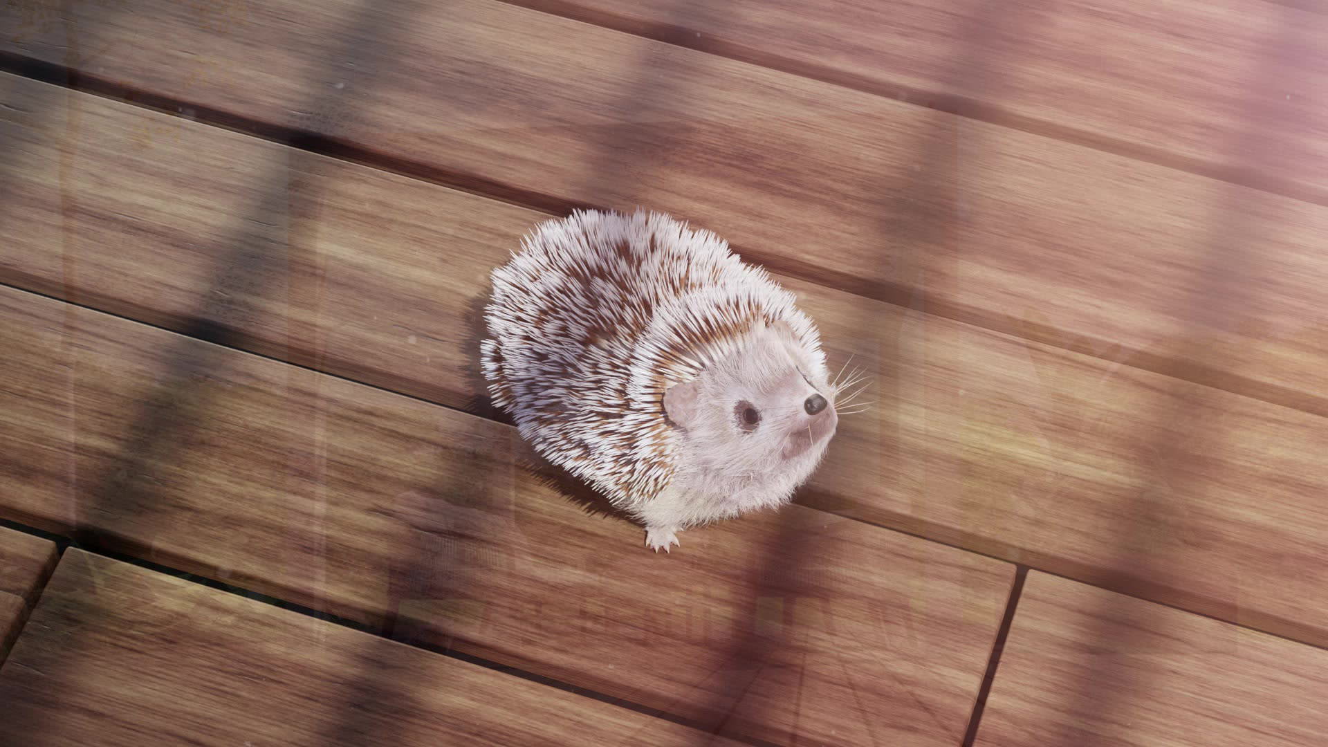 Grandeur Nature - Film Pergola 2022