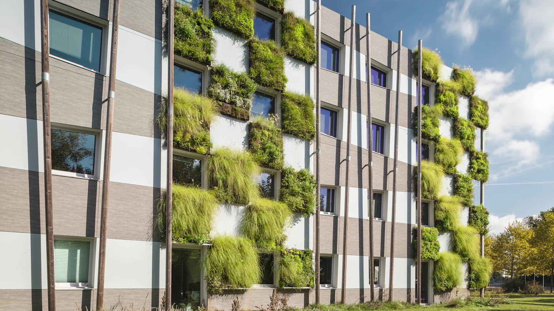 Sepalumic - Présentation International