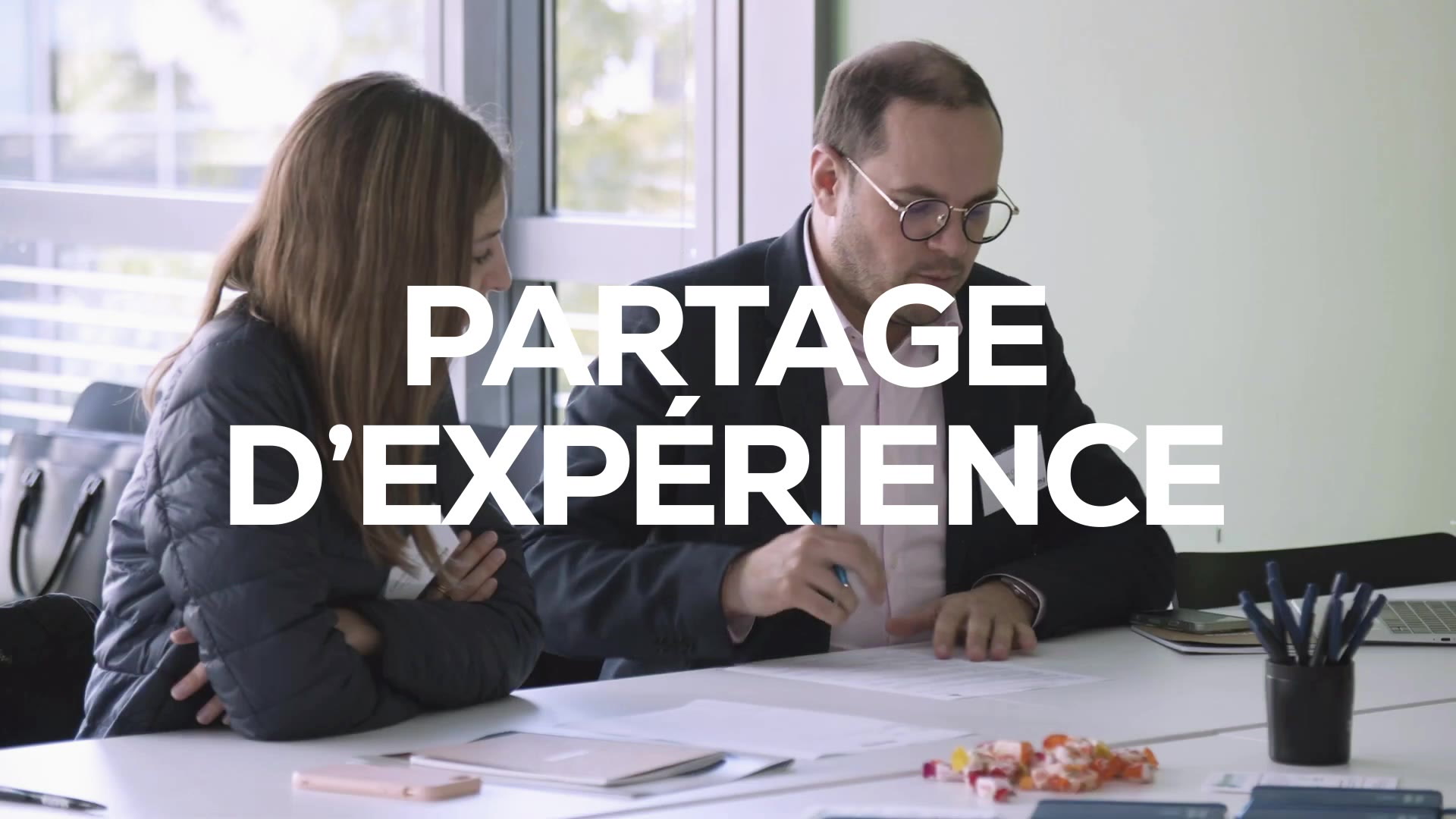 Skema - Valorisation Alumnis