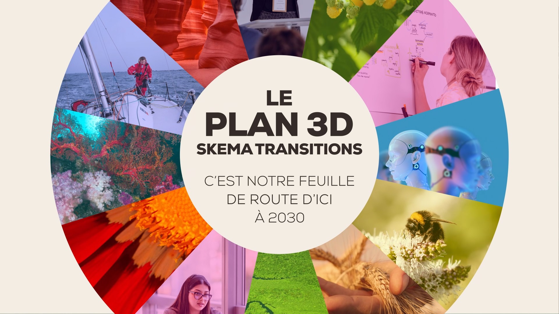 Skema - Plan 3D transitions
