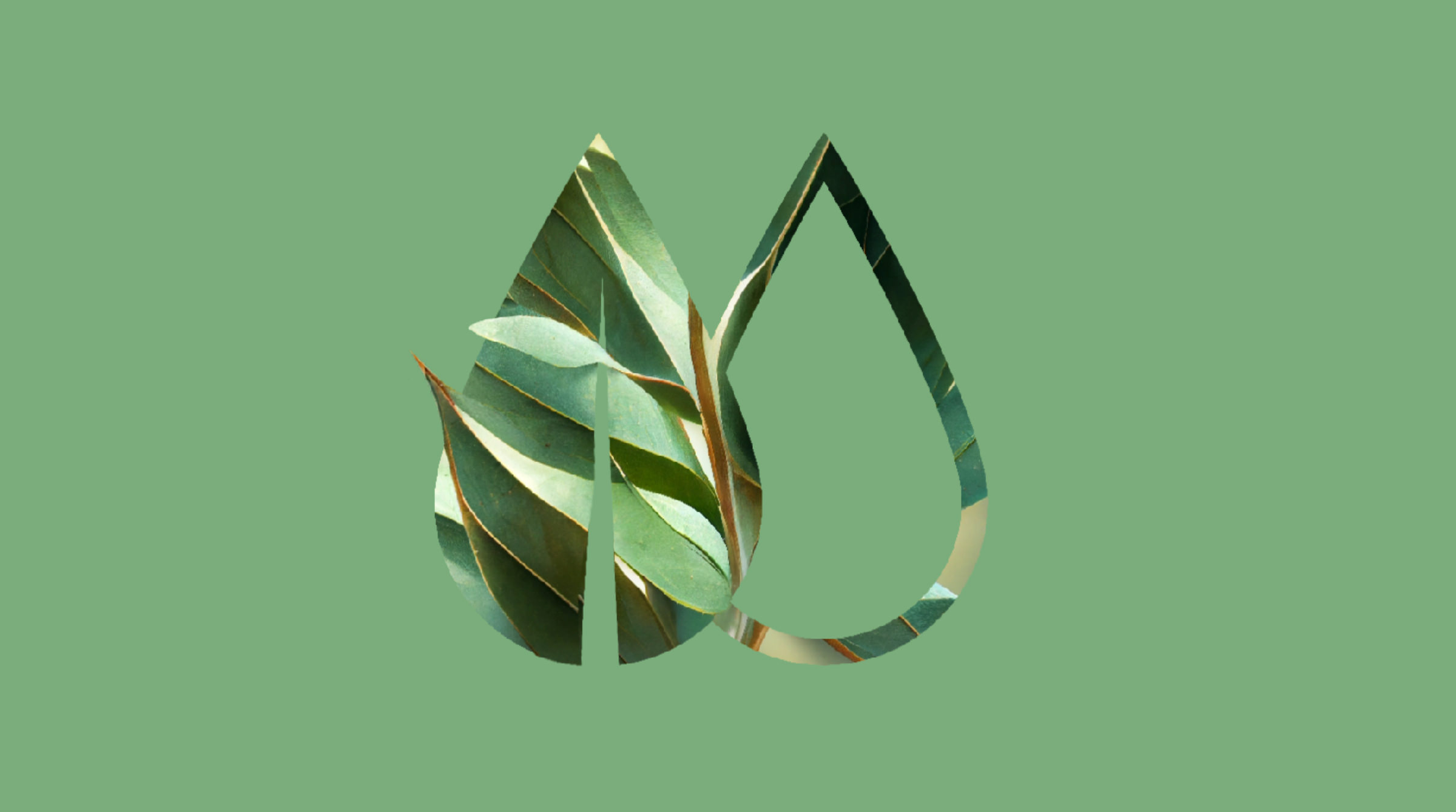 Sur un fond vert, une goutte d'eau est découpée pour révéler des feuilles vertes superposées, symbolisant la nature et le développement durable - un exemple élégant de conception d'identité visuelle.