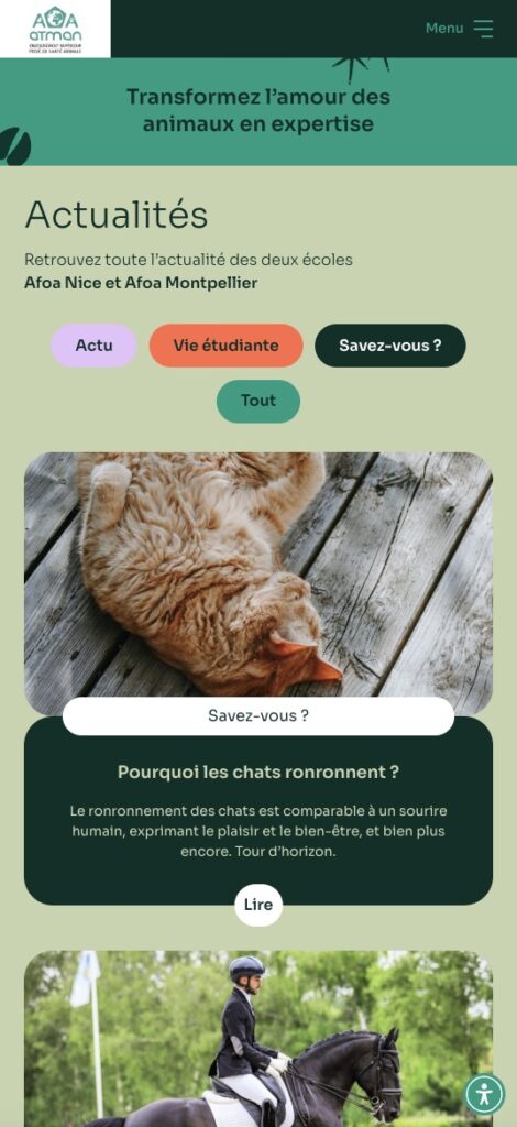 Un chat roux dort sur des lattes en bois au-dessus d'un texte expliquant pourquoi les chats ronronnent : un exemple de design pour la création d'un site Internet illustrant le bien-être.