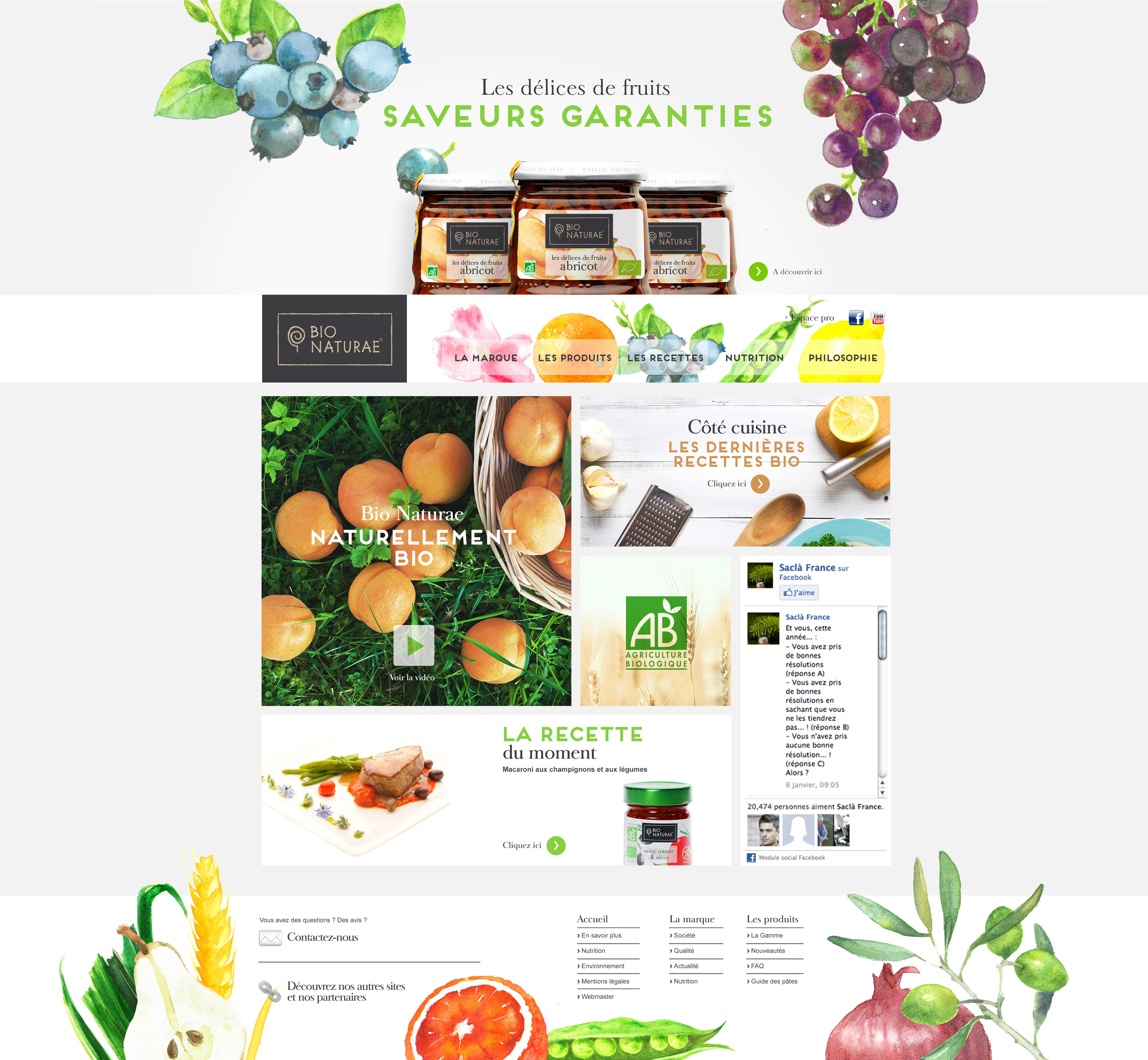 Page d'accueil du site web « Bio Naturae », présentant des illustrations de fruits, des pots de produits, ainsi que des rubriques consacrées aux recettes bio et aux différentes catégories. La conception du site met l'accent sur la nature et l'alimentation bio à travers l'ensemble du design.