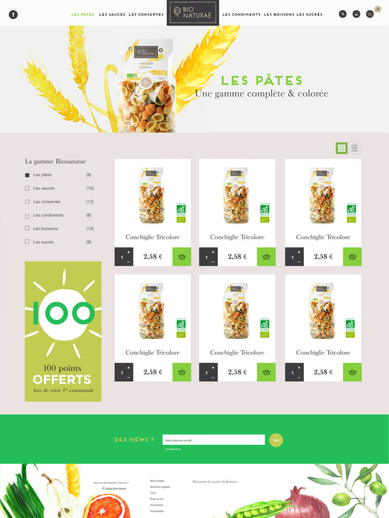 Site e-commerce dédié aux pâtes tricolores, mettant en avant notre expertise en matière de création de sites Internet, avec des filtres de produits à gauche, une bannière promotionnelle verte, un menu de navigation en haut de la page et des graphismes sur le thème de la nature intégrant des éléments jaunes, verts et de couleur blé.