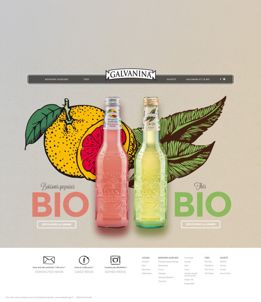 Deux bouteilles Galvanina, l'une rose et l'autre jaune, trônent devant des illustrations d'agrumes et de feuilles : une source d'inspiration idéale pour des projets de création de sites Internet destinés à promouvoir les boissons et les thés bio : « Boissons gazeuses BIO » et « Thés BIO ».