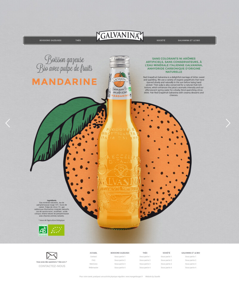 Une bouteille de boisson pétillante bio à la mandarine « Galvanina » est représentée devant une tranche de mandarine illustrée, accompagnée d'un texte en français et de logos : une source d'inspiration idéale pour la création de votre site Internet dédié aux produits naturels et certifiés.